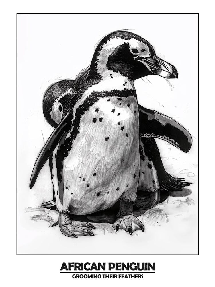 Penguin Grooming Their Feathers Poster