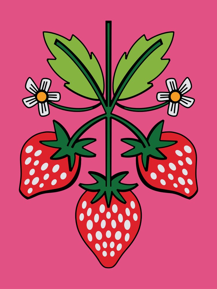 Pink Strawberry Illustrated