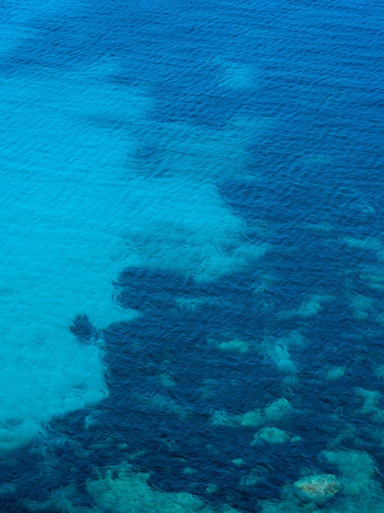 Blue Ocean Ibiza