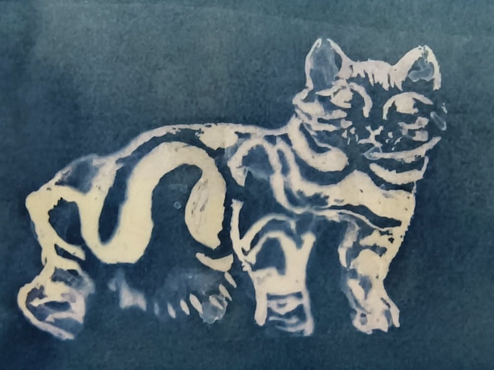 Cat In Indigo