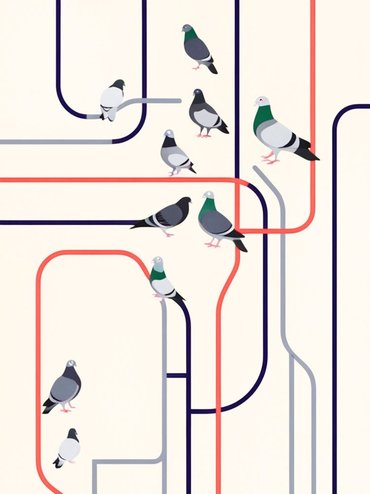 Pigeons In The Tube