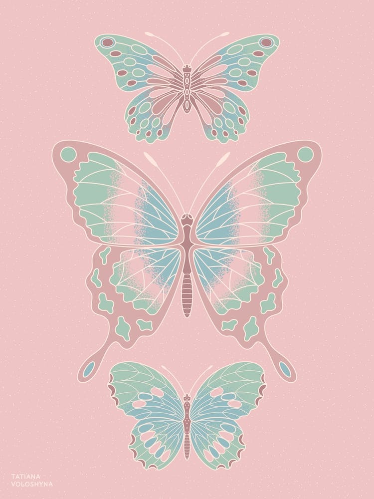 Butterflies