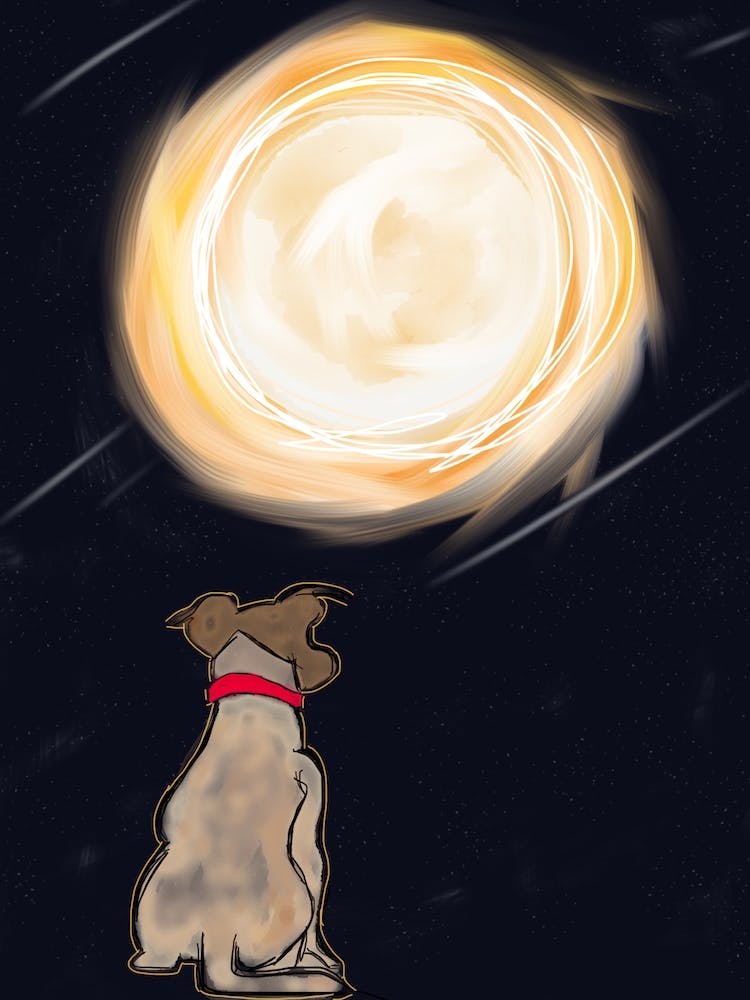 Dreaming With The Moon