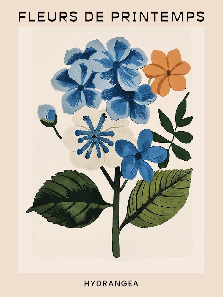 Spring Floral French Poster  Hydrangea 6