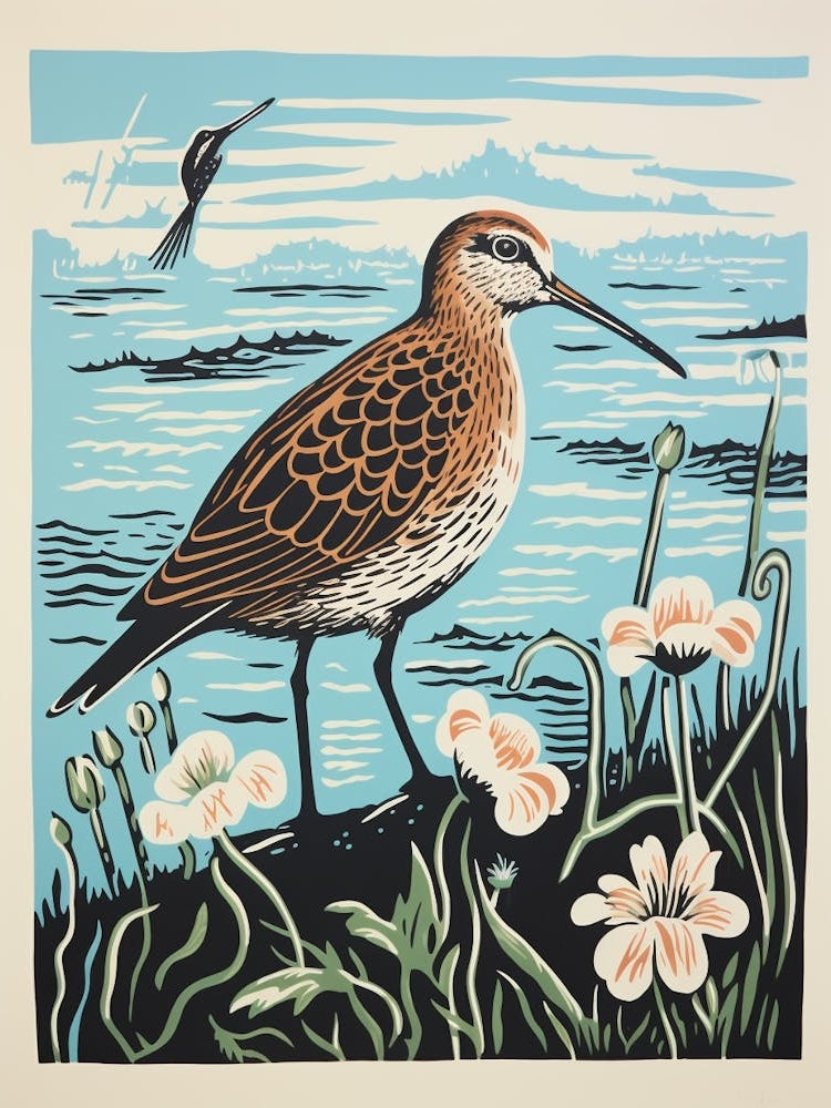 Vintage Bird Linocut Dunlin 1
