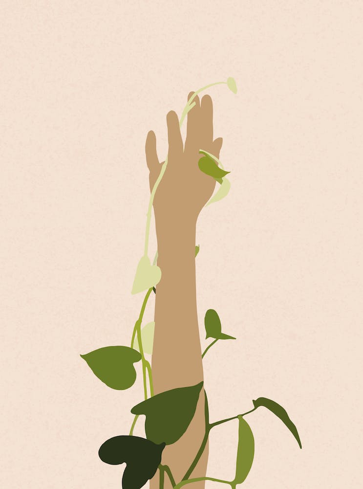 Hand Reaching For A Plant