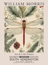 Tirages d'art d'insectes