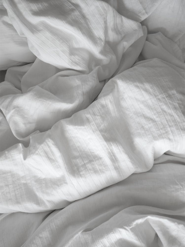 Une Journée Parfaite Au Lit