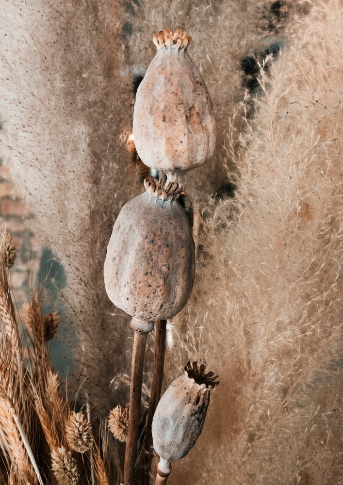 Decorative Dryed Bouquet