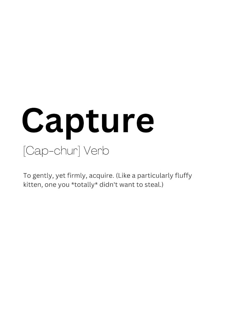 Capture Definition Meaning