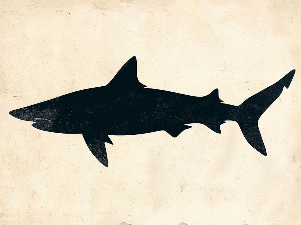 Pelagic Thresher Shark Grey Silhouette 5