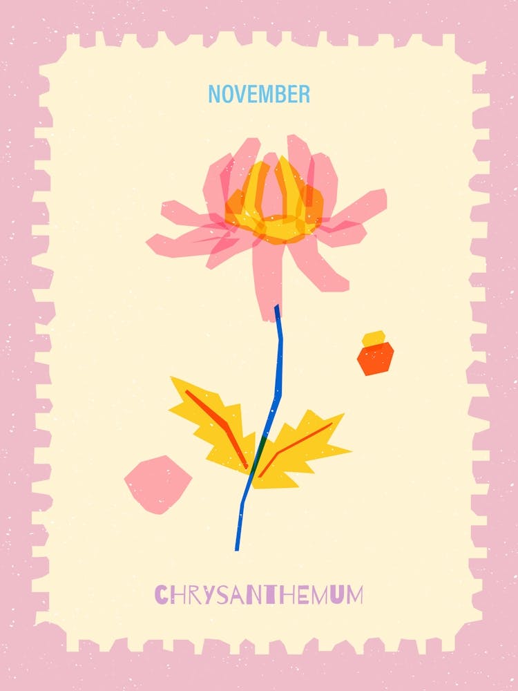November Birthmonth Flower Chrysanthemum 1