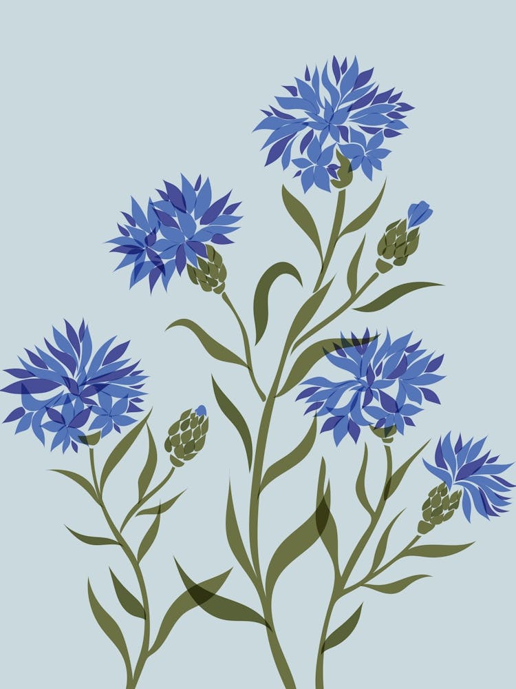 Cornflowers