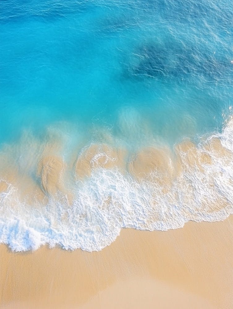 Aerial View Of A Beach 81