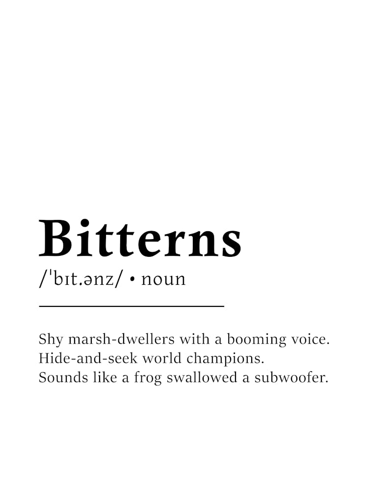 Bitterns Definition Poster - Dictionary