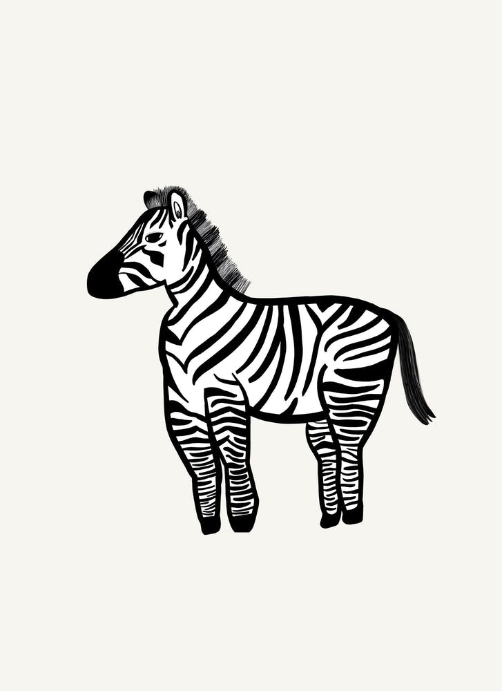 Zebra