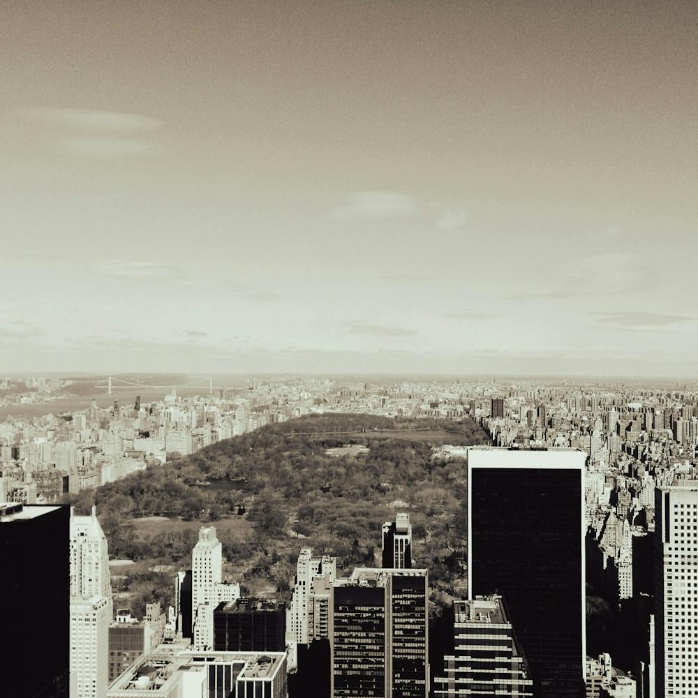 Central Park View New York