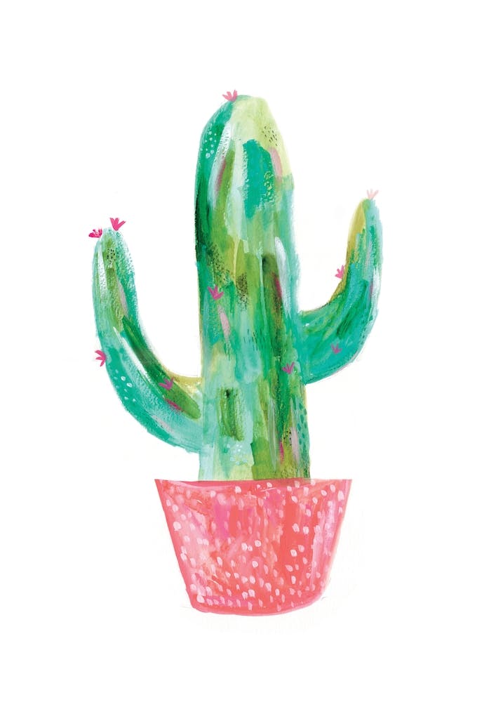 Painted Cactus In Coral Pot