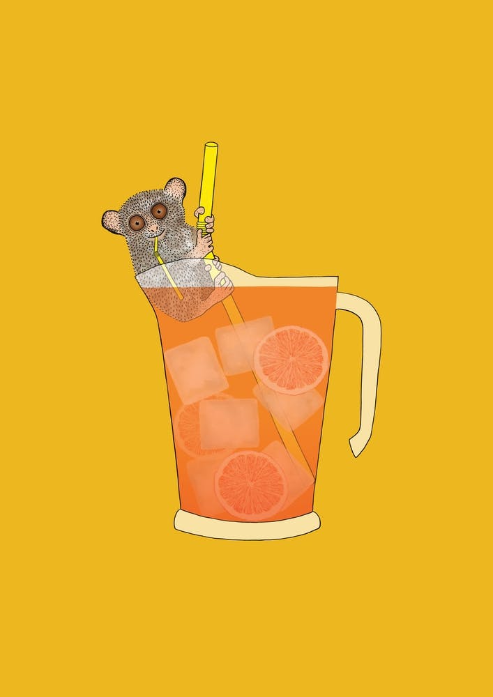 Winziger Koboldmaki großer Drink