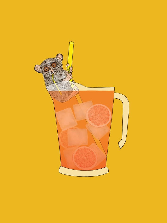Tiny Tarsier Big Drink