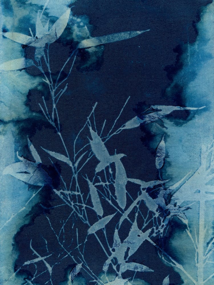 Inky Bamboo