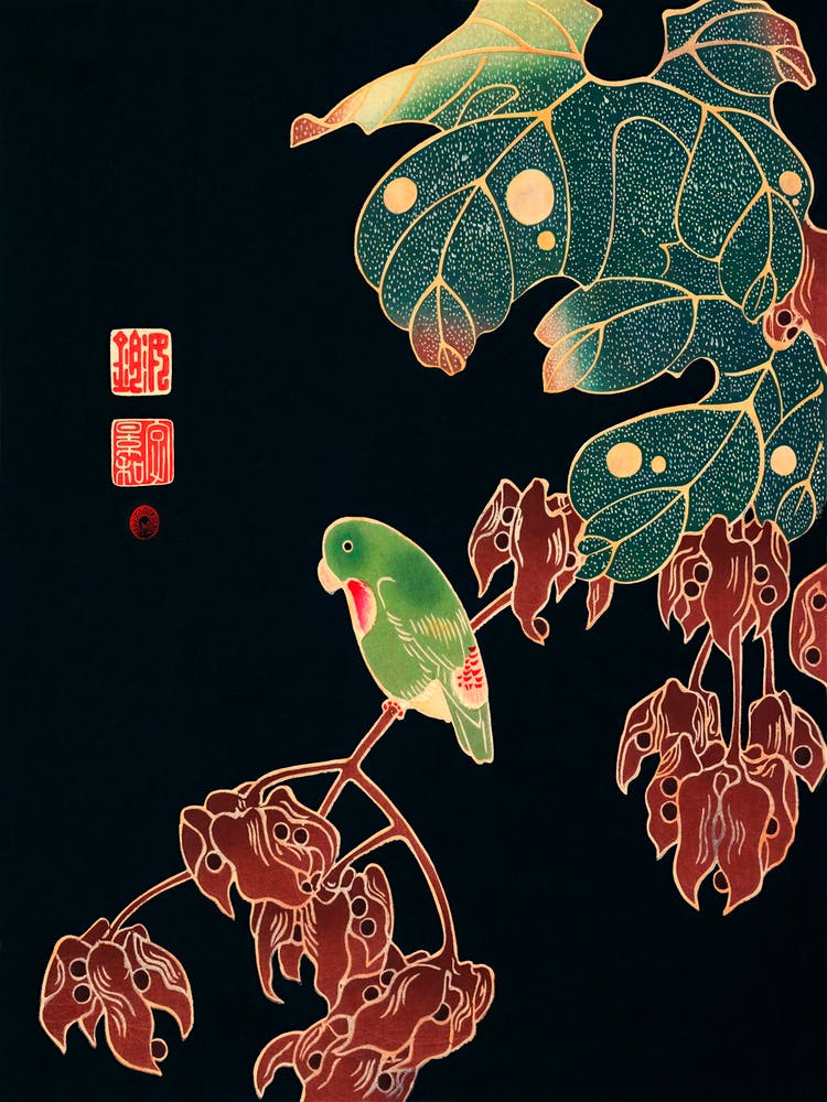 The Paroquet (1900), Itō Jakuchū
