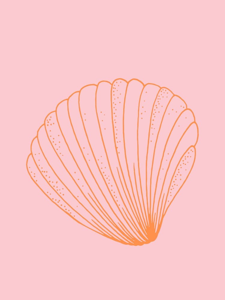 Line Drawing Shell Pink