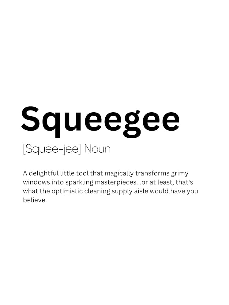Squeegee Definition Meaning
