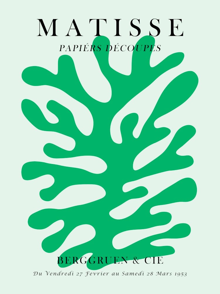 Floral matisse 2