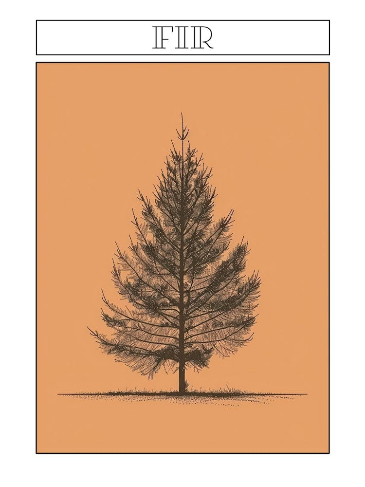 Fir Tree Minimalistic Drawing 1 Poster