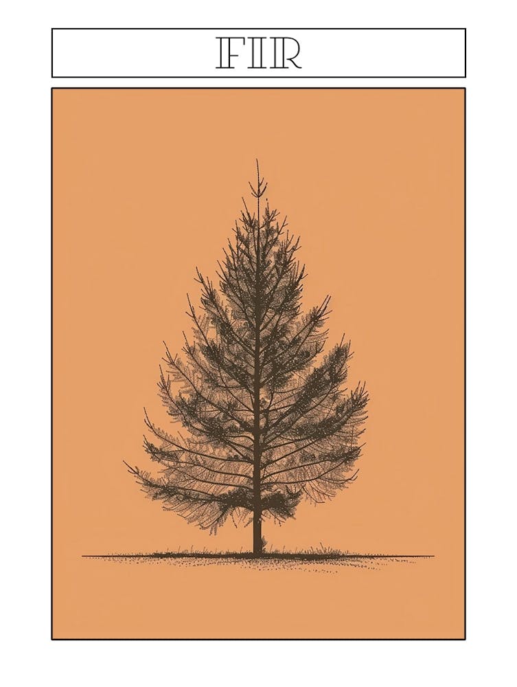 Fir Tree Minimalistic Drawing 1 Poster