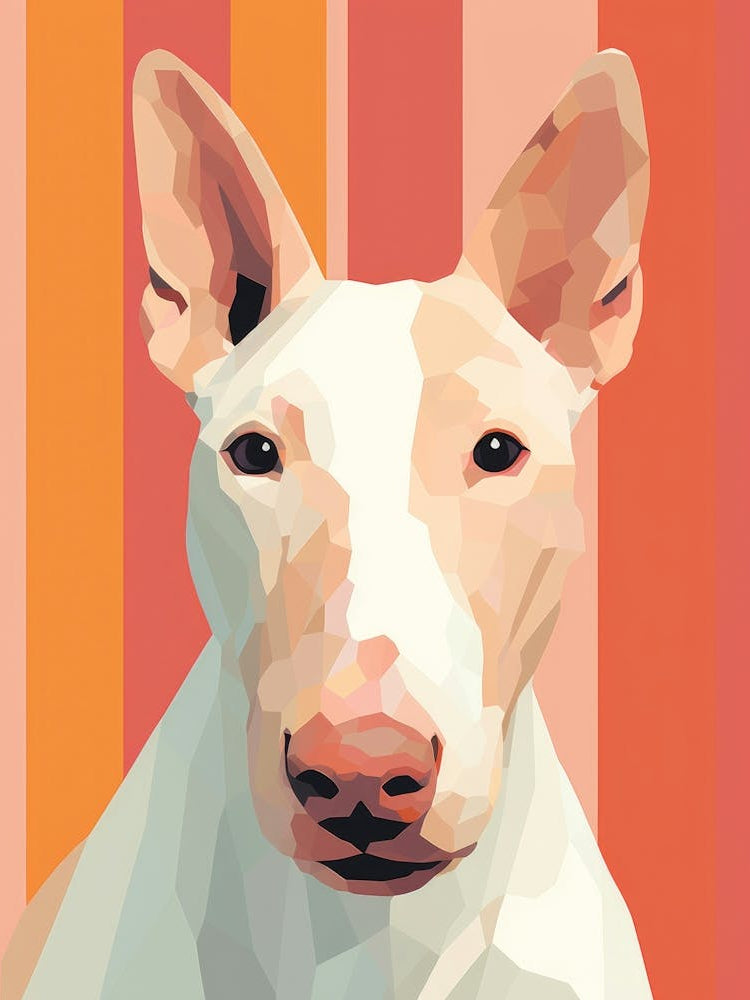 Bull Terrier 5