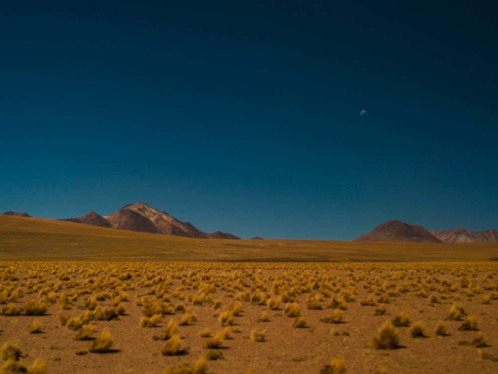 Uyuni Salar