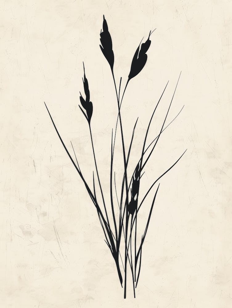 Gras