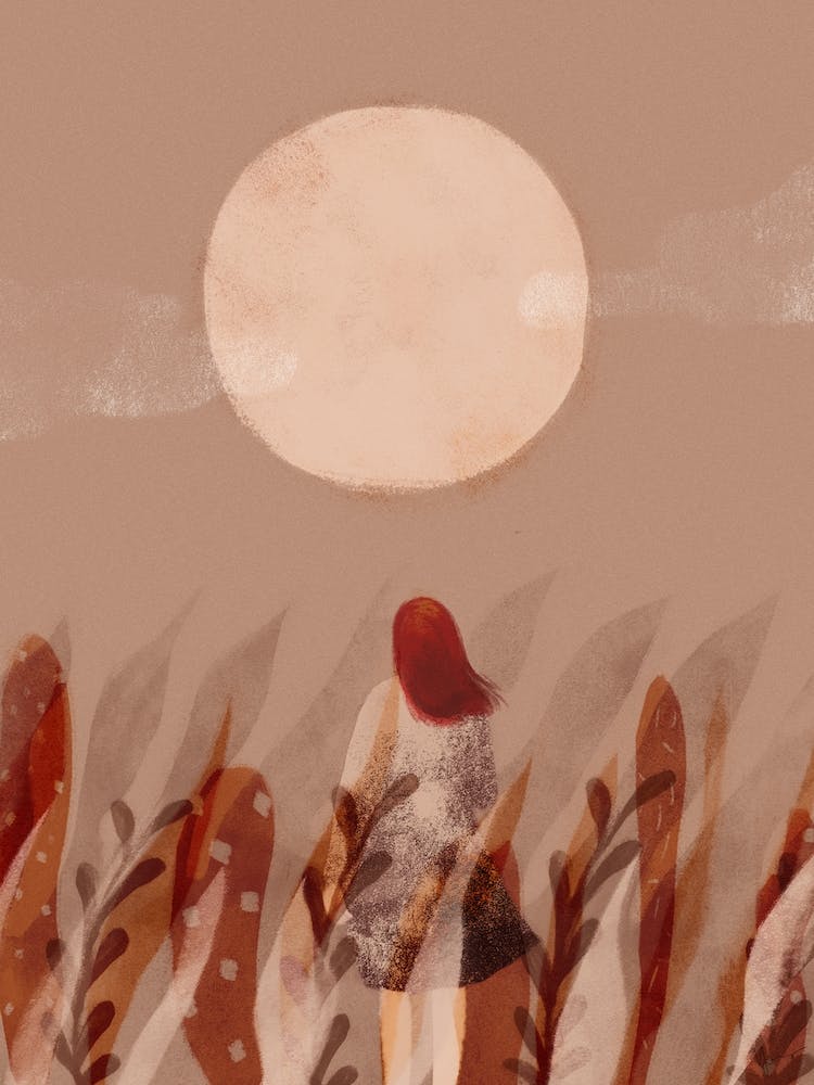 Look Back To My Life