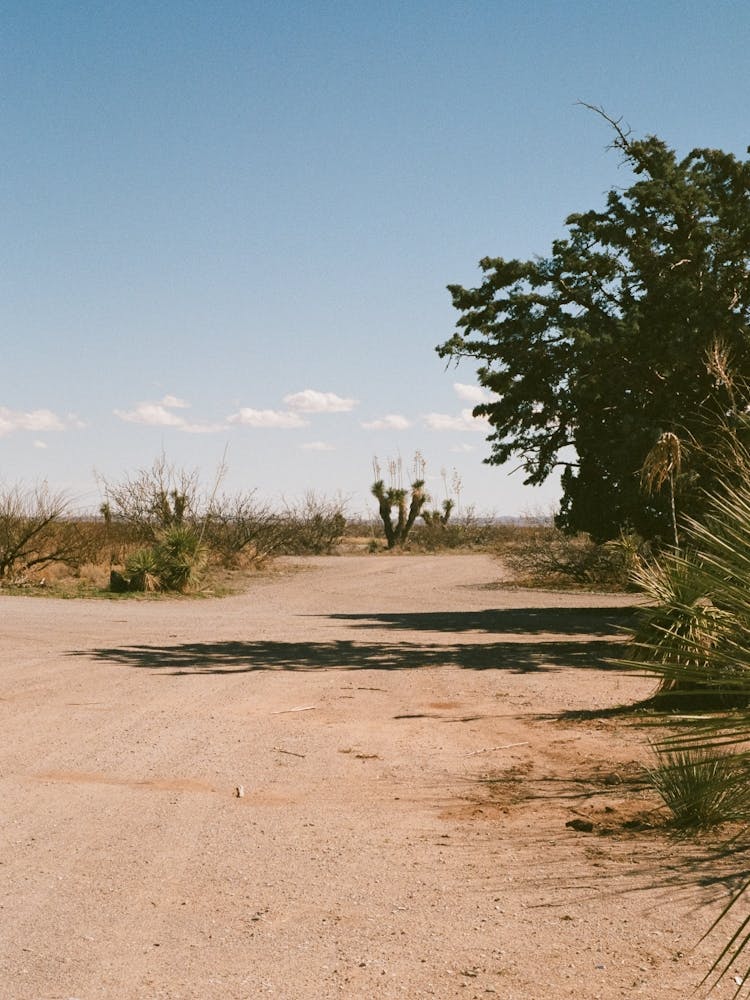 Desert Road