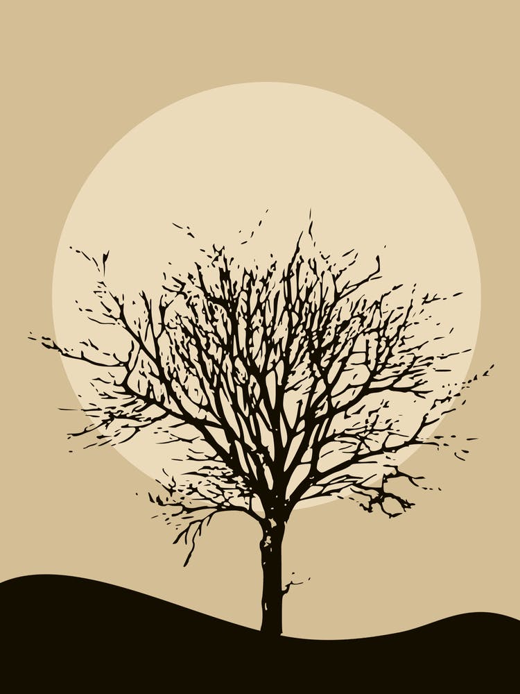 Silhouette eines Baumes 1