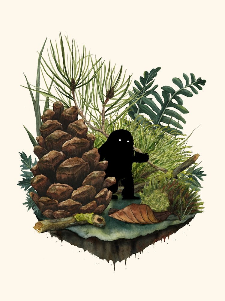 Tiny Sasquatsch (Bigfoot)