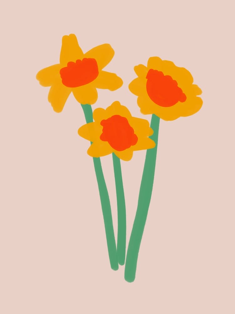 Daffodils 1
