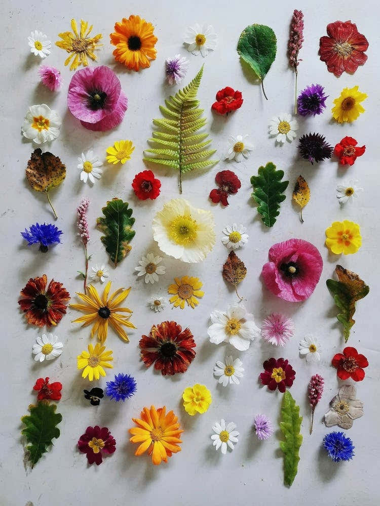 October'S In The Garden