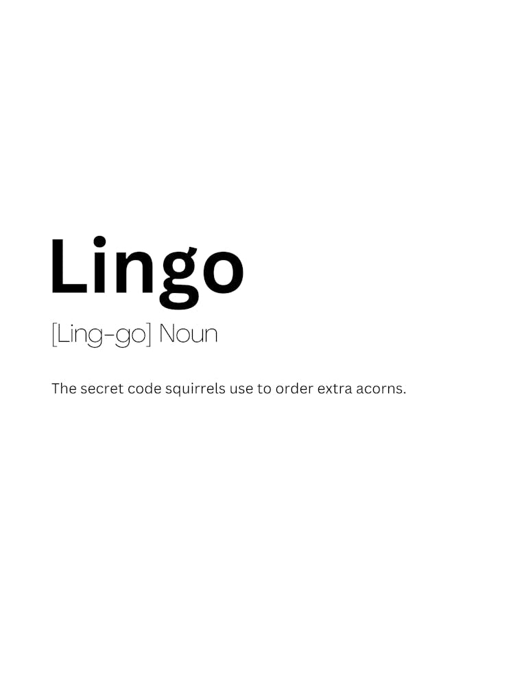 Lingo Definition Meaning 1