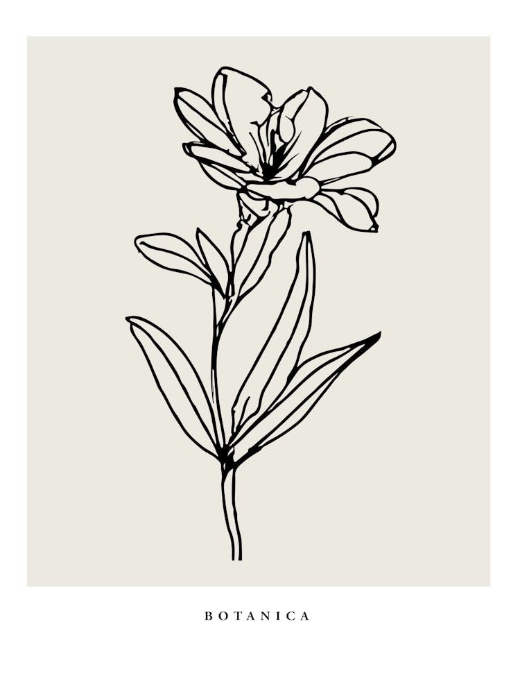 Botanica line no 06