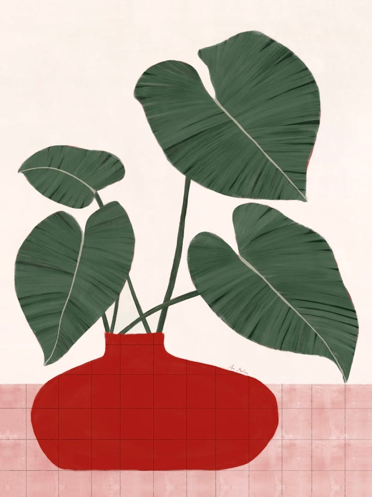 Plant In A Red Vase