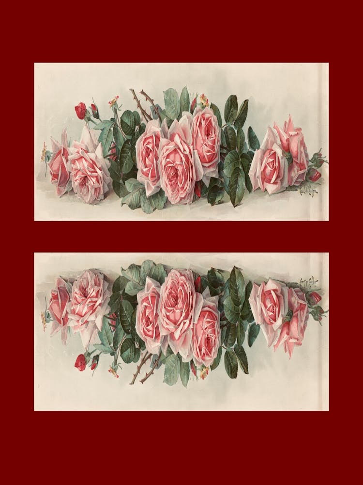 Roses On A Red Background