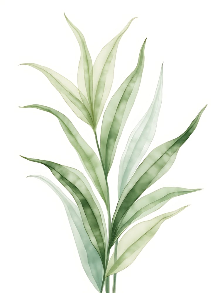 Calm Sage Green Garden Illustration