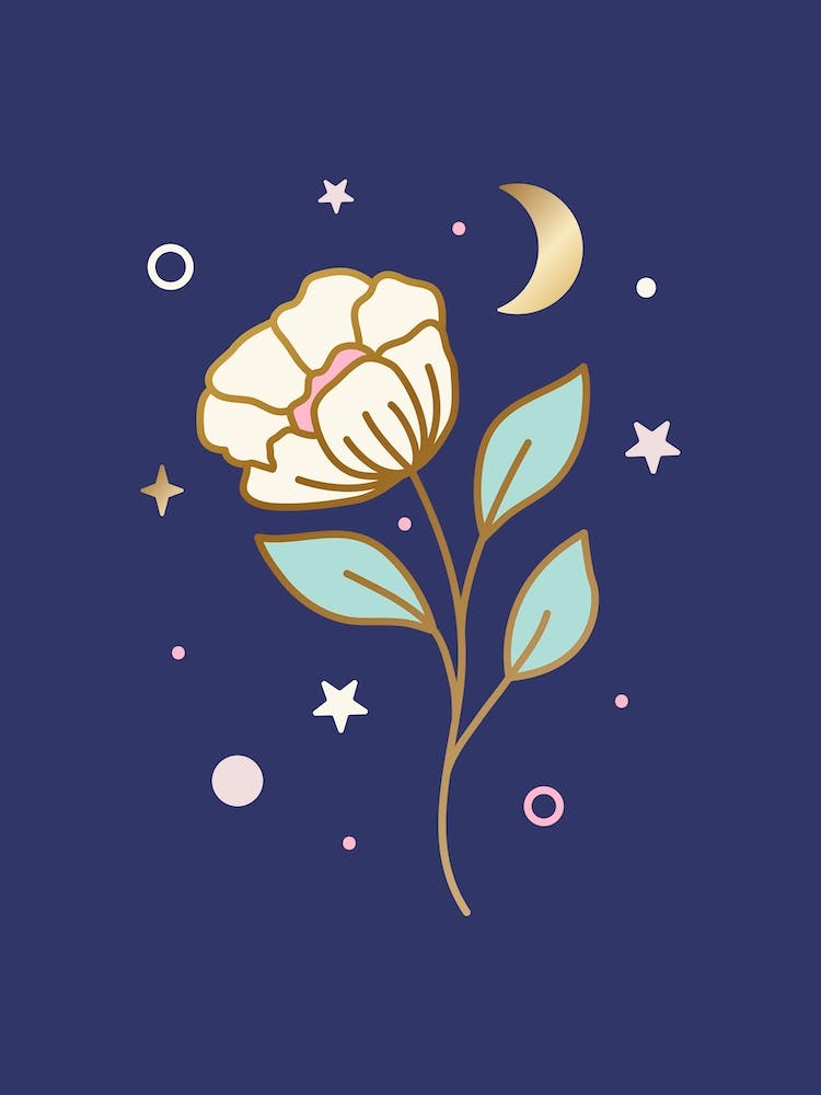 Flower In Universe