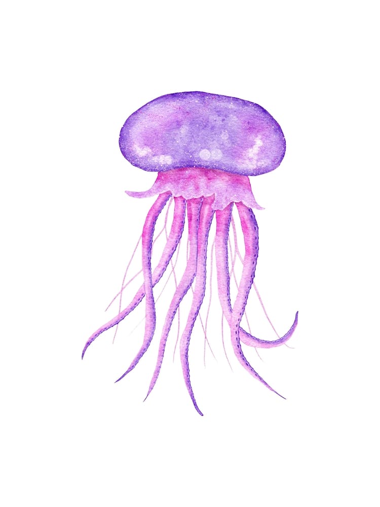 Jellyfish Watercolor Painting