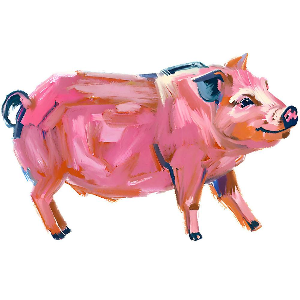 Hampshire Pig 04