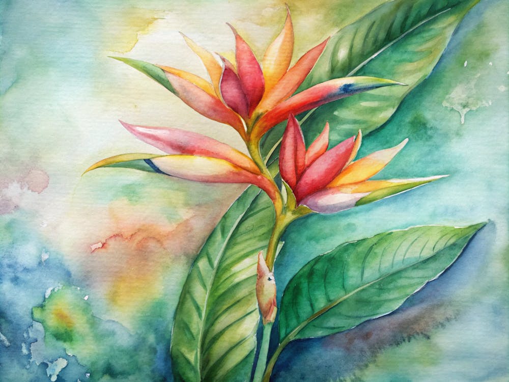 8 Heliconia Rostrata With Cascading Blooms (1)