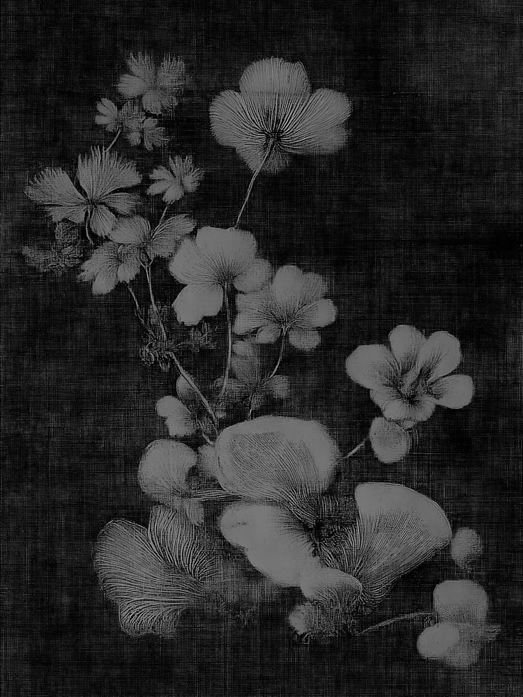 Fleurs Chinoises
